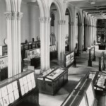 USNM No. 22351 | SIA_000095_B41_F12_002